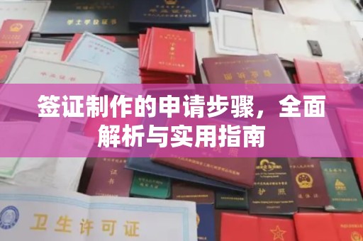 鄂温签证制作的申请步骤，全面解析与实用指南