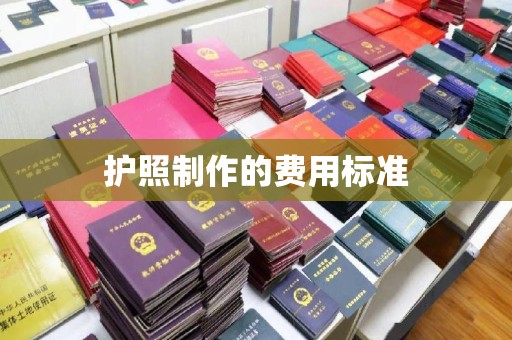 鄂温护照制作的费用标准