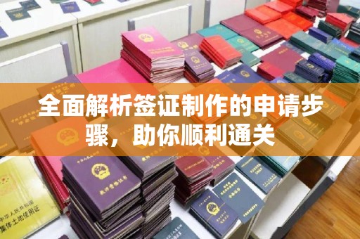 鄂温全面解析签证制作的申请步骤，助你顺利通关